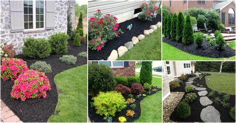 Stunning Black Mulch Landscaping Ideas You Must See