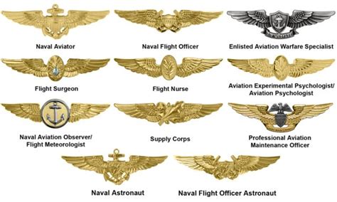 Badges of the United States Navy | United states navy, Navy insignia, Navy special forces