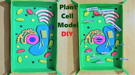 plant cell model 3d for school science fair project | DIY | howtofunda | biology project | still ...