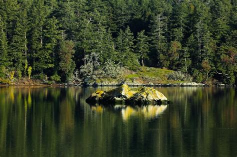 Esquimalt lagoon : r/Esquimalt