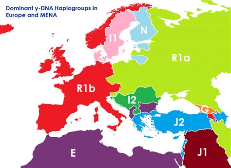 Dominant Y-DNA haplogroups in Europe and Middle East - Vivid Maps