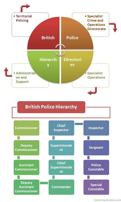 British Police Hierarchy | Hierarchy, State police, Police careers