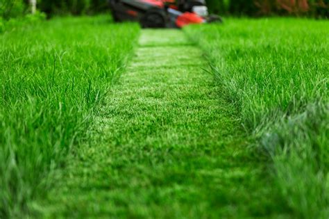 Lawn Mowing Patterns That Will Enhance Your Garden Appeal