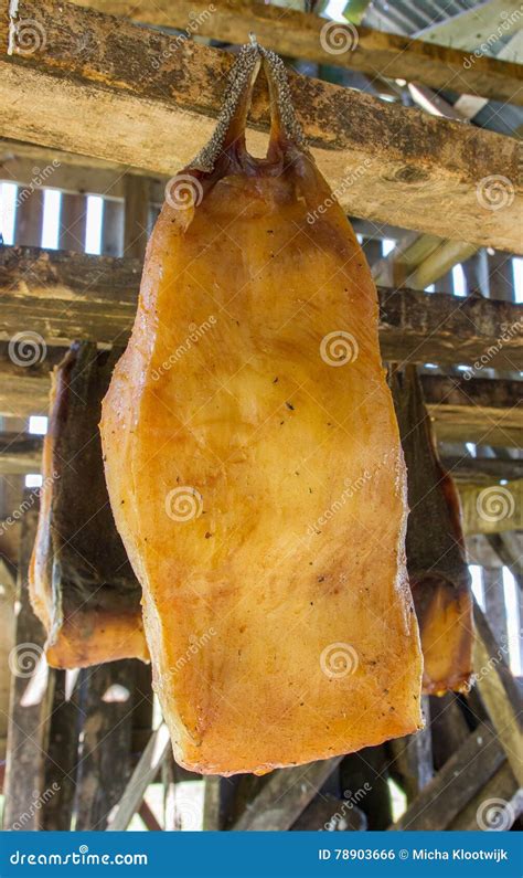 Iceland s fermented shark stock photo. Image of sharkmeat - 78903666