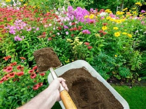 Topsoil Vs Compost - Which One Should You Use?