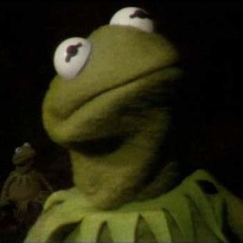 Essence Seeker | Kermit the Frog Bein’ Green tribute