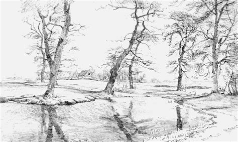 Tree Landscape Drawing Free Stock Photo - Public Domain Pictures