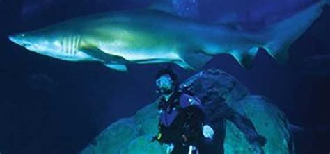 Swimming With Sharks at the Adventure Aquarium | TFH Magazine