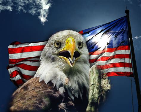 Patriotic Eagle Meme