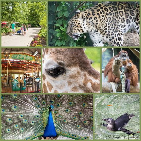 6 Small Midwest Zoos Great for a Short Visit - Midwest Wanderer