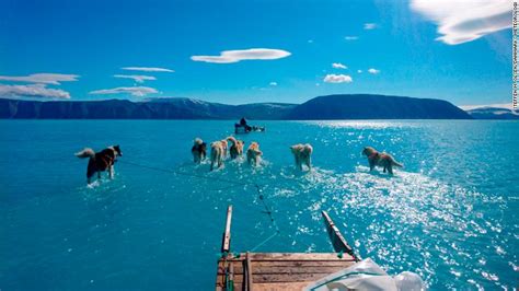 Greenland is in the grips of a heatwave. Here's what it means for all ...