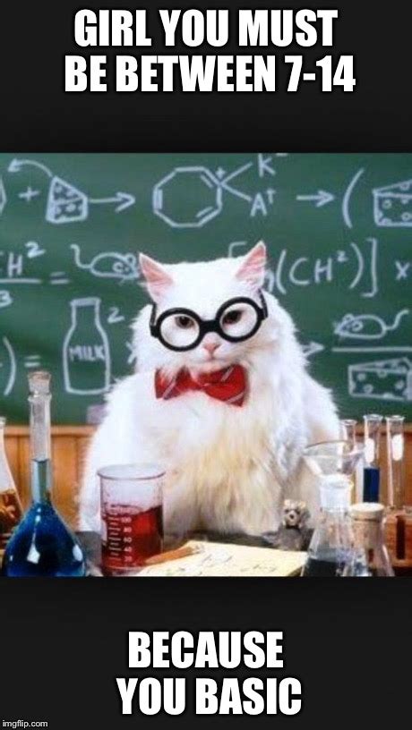 Chemistry Cat Meme