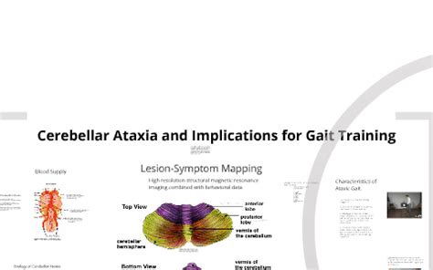 Cerebellar Ataxia: Implications for Gait Training by Candice McDonald ...