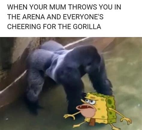 Pin by hanji jefferson on Dank | Spongebob funny, Harambe meme, Funny memes