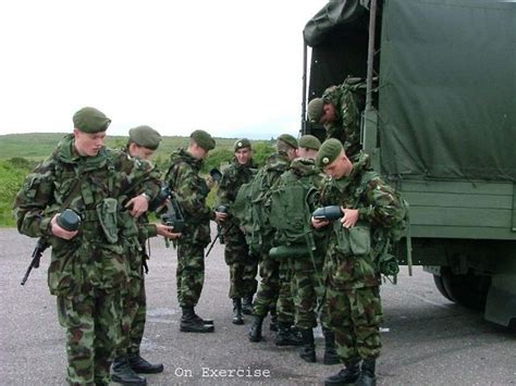 Irish army Ireland Ranks combat field uniforms soldiers land ground forces technical data sheet ...