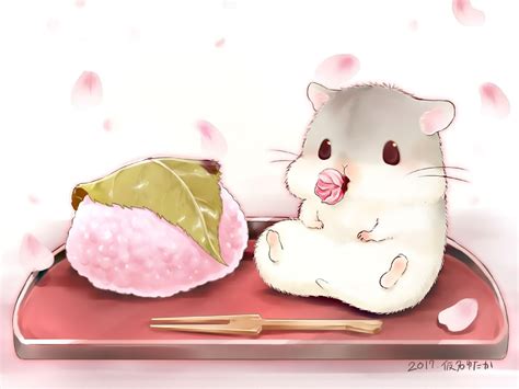 Anime Hamster Wallpapers - Wallpaper Cave