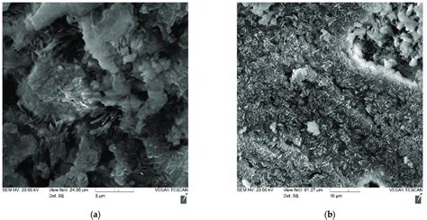 Photo of the microstructure of a cement stone without additives: (a)... | Download Scientific ...