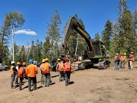 NAU improves the lifespan of trees | News | jackcentral.org