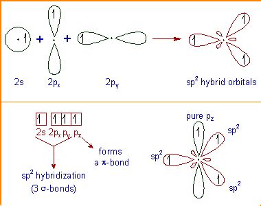 SP2 HYBRIDIZATION OF CARBON - Chemical Reactions, Mechanisms, Organic Spectroscopy