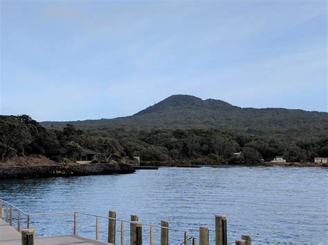 Rangitoto Island – Working While Wandering