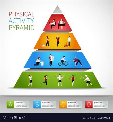 Physical activity pyramid inforgaphic with people figures vector illustration. Download a Free ...