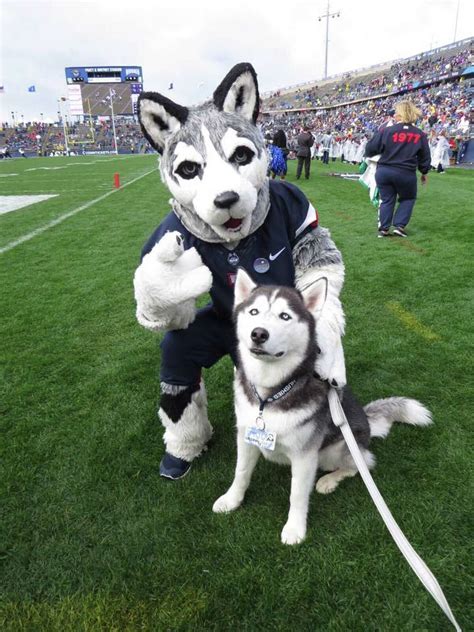 Who Owns Jonathan Uconn Ivx Husky