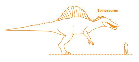 Spinosaurus Size