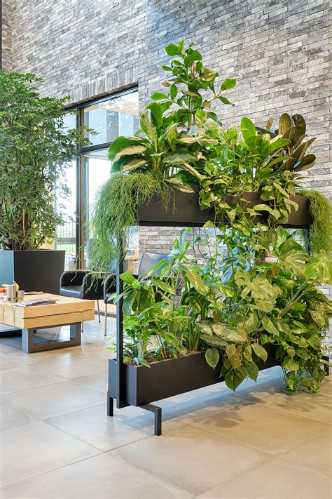 MYNTHE staand en hangend groen in een strak stalen design | House ...