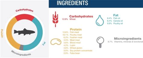 Fish Feed Ingredients - TheEducators Co