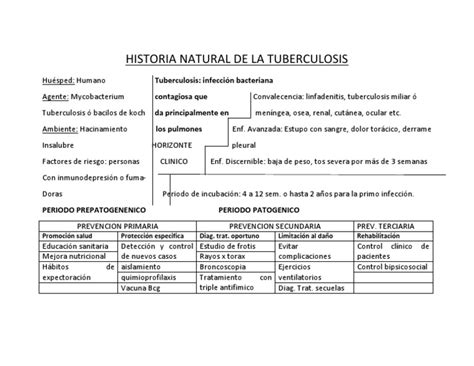 Historia Natural de La Tuberculosis