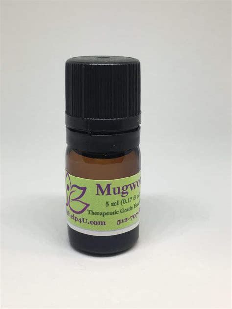 Mugwort Essential Oil – 5ml – Healthy Help 4 U