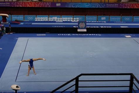 Gymnastics at the 2010 Summer Youth Olympics – Men's floor - Alchetron ...