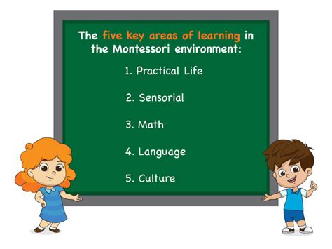 5 Areas Montessori Curriculum | North American Montessori