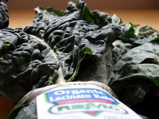 Organic Kale from Boston Organics | the-cooking-of-joy.blogs… | Flickr