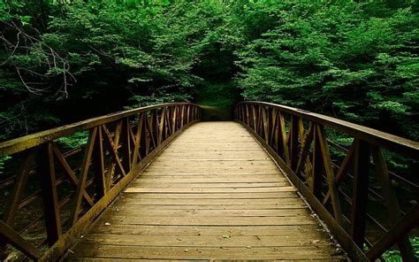 HD wallpaper: bridge, wooden bridge, path, nature, wilderness ...