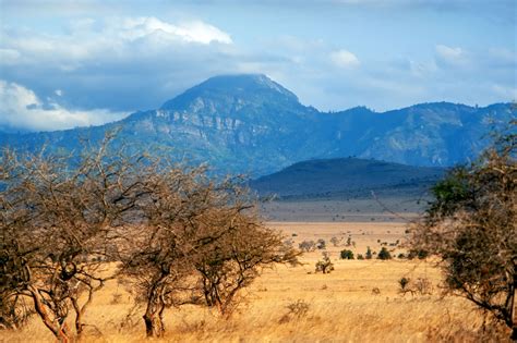 savannah-landscape-in-the-national-park-of-kenya-P56CU7Y - Top Tourist