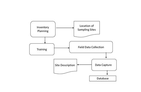 Forest Inventory Process | Download Scientific Diagram