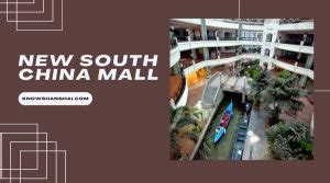 New South China Mall: Learn More About The Mall