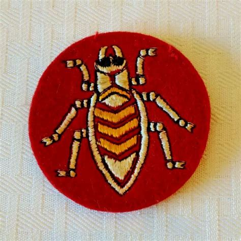 VINTAGE 1950S MILITARY Small Round Patch 2 1/4'' ORDER OF THE COOTIE Beetle $49.99 - PicClick