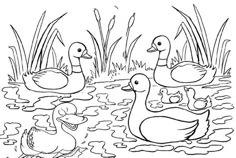 7 Fun Duck and Ducklings Coloring Pages for Children - Coloring Pages