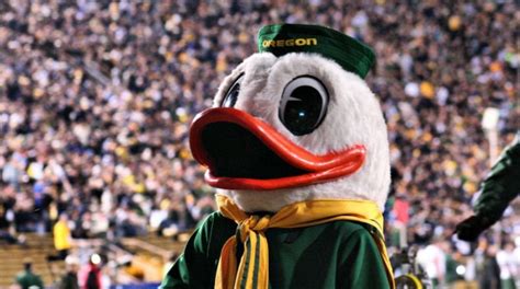 Ranking the Pac 12 Mascots (because it's May) : r/Pac12