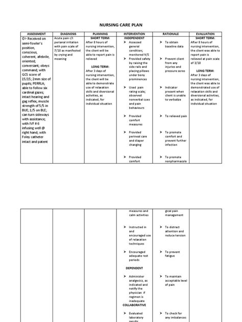 Nursing Care Plan | Pain | Nursing