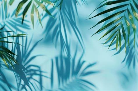 Premium Photo | A leafy green palm tree casts a shadow on a blue background