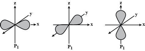 Describe the Shape of a P Orbital.