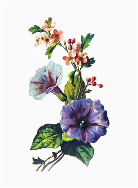 Drawing of mayflowers | premium image by rawpixel.com | Tree illustration, Plant illustration ...