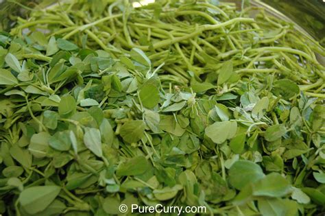 Dried Fenugreek Leaves - PURE CURRY