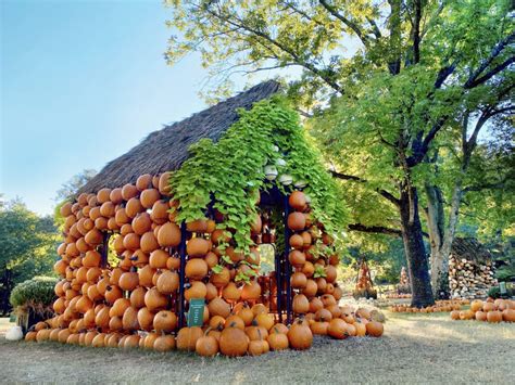 Cheekwood Harvest 2022 - Cheekwood Estate & Gardens | Nashville, Tennessee in 2022 | Harvest ...