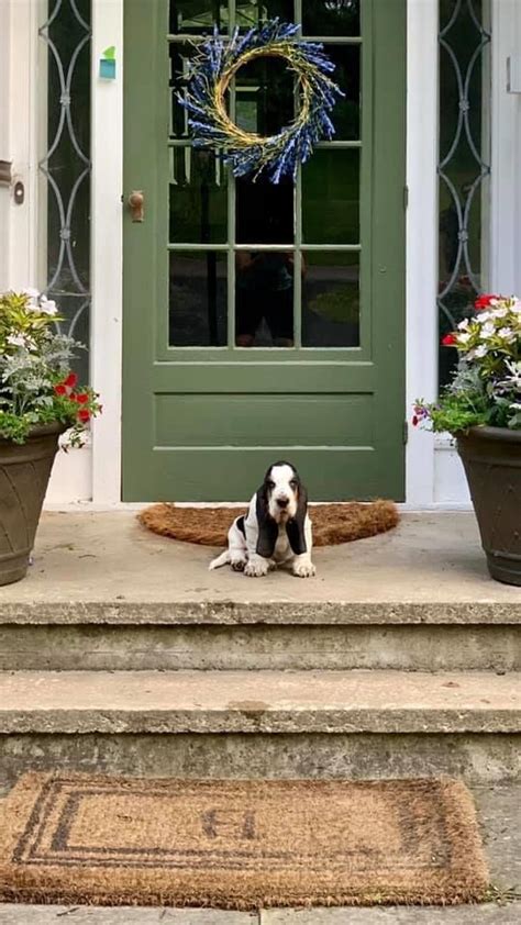 Sherwin Williams...Rookwood Dark Green. (That’s Winston greeting us)! | Green house exterior ...