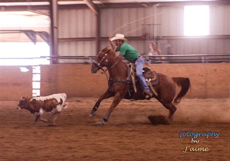 Calf Roping | Calf roping, Animals, Rodeo