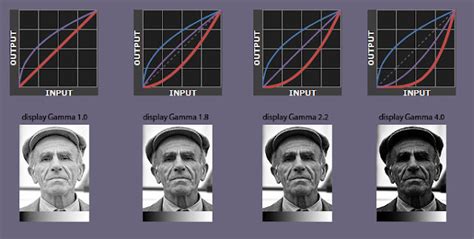 Gamma correction 2.2 - Animation Graphic + Technology